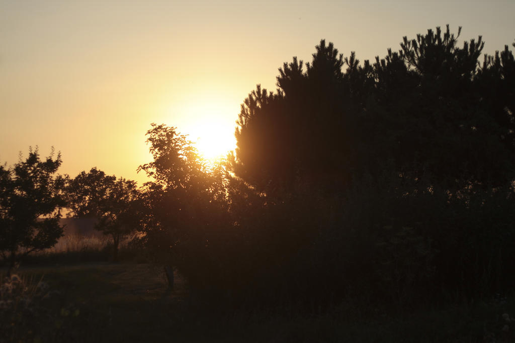 Quistgaarden Bed & Breakfast Spjellerup Esterno foto